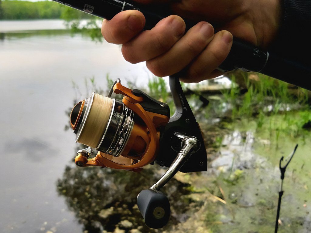 обзор катшки Salmo Elite Match 8 3000FD 00002.jpg обзор катшки Salmo Elite Match 8 3000FD 00002.jpg